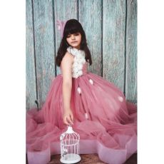 Rosewood Dream Party Gown